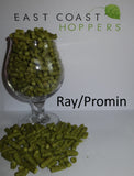 Ray/Promin