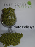 Zlato Polissya