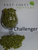 Challenger - East Coast Hoppers