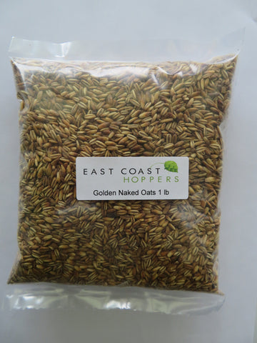 Golden Naked Oats