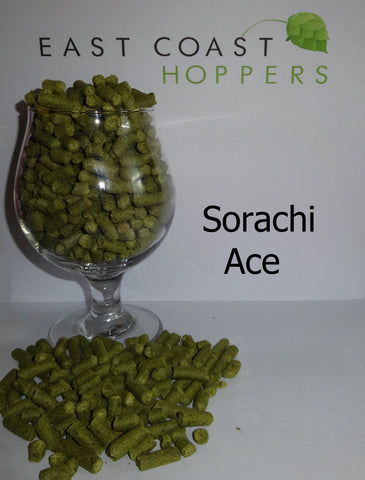 Sorachi Ace - East Coast Hoppers