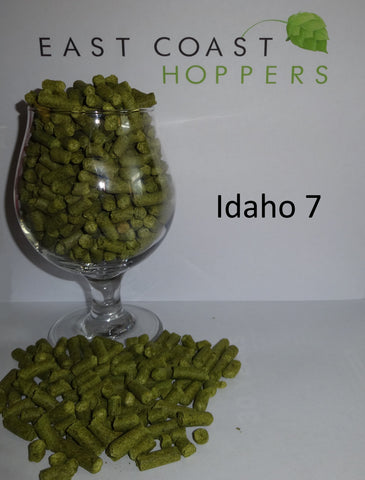 Idaho 7 - East Coast Hoppers