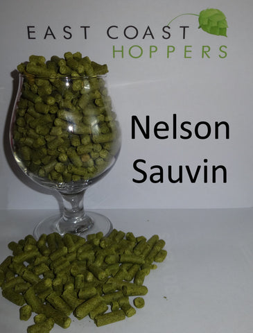 Nelson Sauvin - 1lb (454g) - East Coast Hoppers